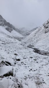 IMG_1528